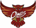 Owls mascot photo.