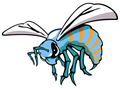 Hornets mascot photo.
