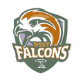 Falcons mascot photo.