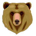 Bruins mascot photo.