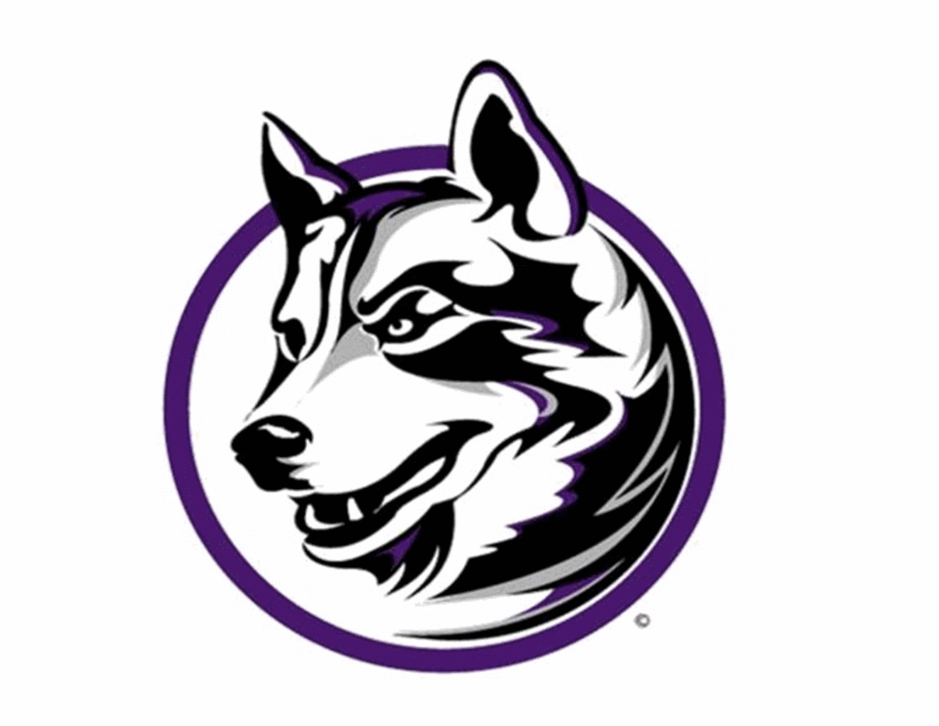 Hailey Guyer High School Field Hockey Stats Mifflin County (Lewistown, PA) MaxPreps