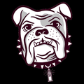 Raiders mascot photo.