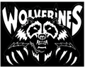 Wolverines mascot photo.