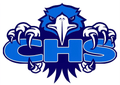 Bay Hawks mascot photo.