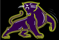 Panthers mascot photo.