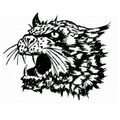 Bearcats mascot photo.