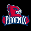 Phoenix mascot photo.