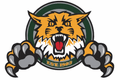 Wildcats mascot photo.