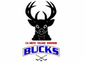Bucks mascot photo.