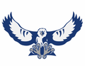 C-Hawks mascot photo.