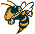 Bees mascot photo.