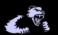 Wolverines mascot photo.
