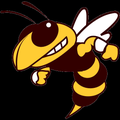 Hornets mascot photo.