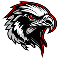 Black Hawks mascot photo.