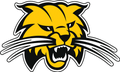 Wildcats mascot photo.