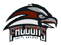 Falcons mascot photo.