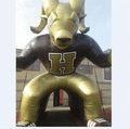 Golden Rams mascot photo.