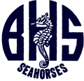 Seahorses mascot photo.