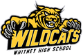Wildcats mascot photo.