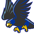 Nighthawks mascot photo.