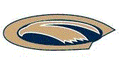 Golden Falcons mascot photo.