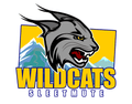 Wildcats mascot photo.