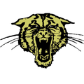 Wildcats mascot photo.