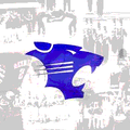 Wildcats mascot photo.