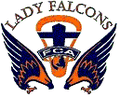 Falcon mascot photo.