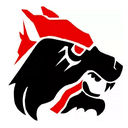 Wichita Falls logo