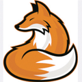 Tundra Foxes mascot photo.