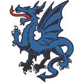 Blue Dragons mascot photo.
