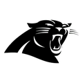 Panthers mascot photo.