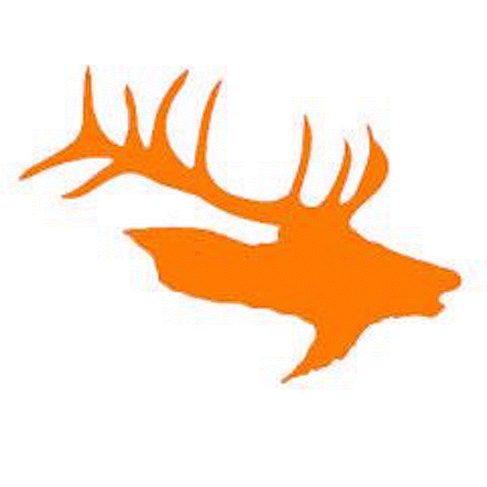 mckenna diermeier High School Volleyball Stats Elk Mound (Elk Mound, WI