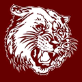 Wildcats mascot photo.