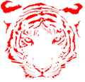 Tigers mascot photo.