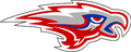 Skyhawks mascot photo.