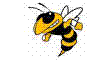 Yellowjackets mascot photo.