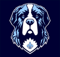 Saints mascot photo.