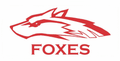 Foxes mascot photo.