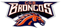 Broncos mascot photo.