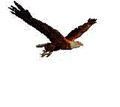 Eagles mascot photo.