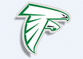 Falcons mascot photo.