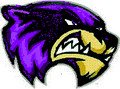 Wolverines mascot photo.