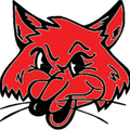 Foxes mascot photo.