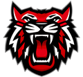 Wildcats mascot photo.