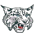 Wildcats mascot photo.