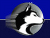Huskies mascot photo.
