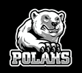 Polar Bears mascot photo.