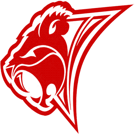Beaver High School Lisbon OH Varsity Football